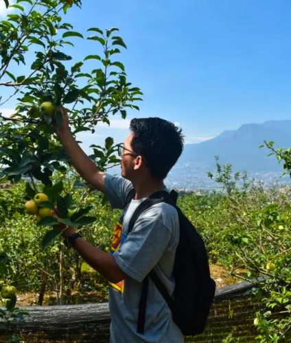 Edukasi Agrowisata & Sensasi Petik Apel Sepuasnya di Kebun Rakyat